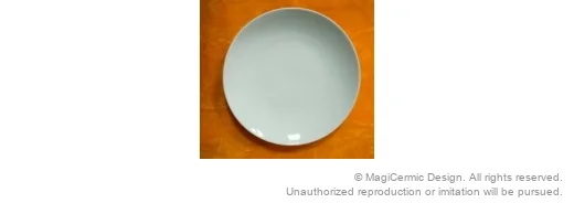 Original supplied product reference image 13
