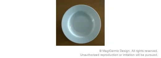 Original supplied product reference image 22