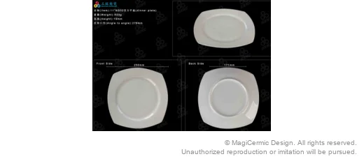 Original supplied product reference image 21
