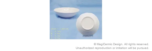 Original supplied product reference image 51