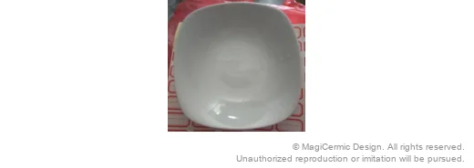 Original supplied product reference image 21